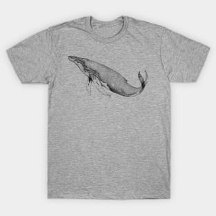 Humpback Whale Line Art T-Shirt